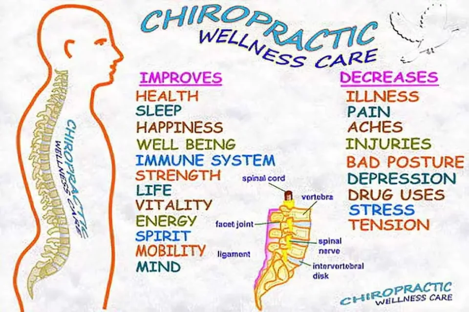 west los angeles Chiropractic Care in Treatment